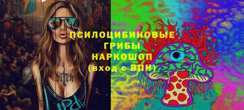 Галлюциногенные грибы Magic Shrooms  Фрязино 